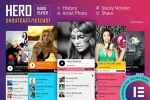 Mua Hero - Shoutcast Icecast Radio Player - Elementor giá rẻ