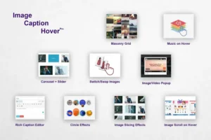 Mua Image Caption Hover Pro giá rẻ