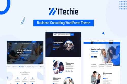 Mua IT Solutions and Services Elementor Wp Theme giá rẻ