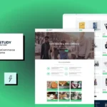 LMStudy – Education LMS WooCommerce Theme
