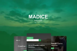 Mua Madice - Responsive E-mail Template giá rẻ