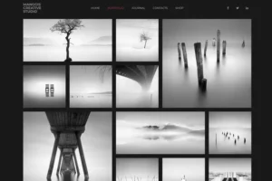 Mua Manggis - Creative Portfolio and Blog Theme giá rẻ