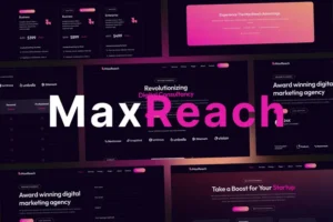 Mua MaxReach - SEO & Digital Agency WordPress Theme giá rẻ