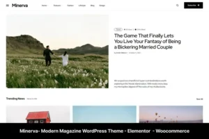 Mua Minerva - Modern Blog WordPress Theme giá rẻ