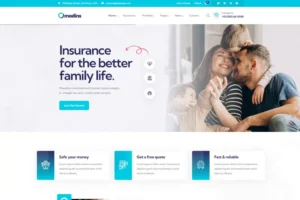 Mua Modins - Insurance & Finance WordPress Theme giá rẻ