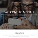 Monali – Business Agency WordPress Theme