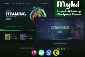 Mua MYKD - eSports and Gaming NFT WordPress Theme giá rẻ