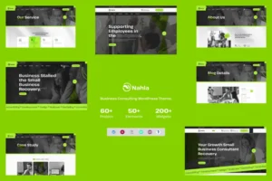 Mua Nahla - Business Consulting WordPress Theme giá rẻ