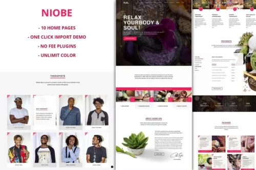 Mua Niobe - Spa & Salon WordPress Theme giá rẻ