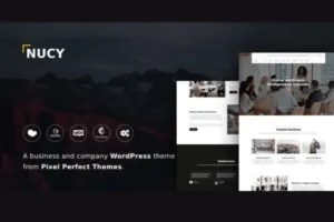 Mua Nucy - Business & Company WordPress Theme giá rẻ