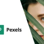 Pexels – Import Free Stock Images into WordPress