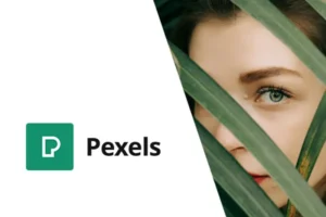 Mua Pexels - Import Free Stock Images into WordPress giá rẻ