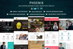 Mua PHOENIX - Multi-Concept Responsive Email Pack giá rẻ