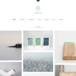 PineCone – Creative Portfolio and Blog for Agency