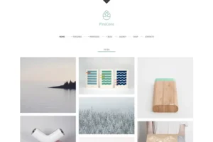 Mua PineCone - Creative Portfolio and Blog for Agency giá rẻ