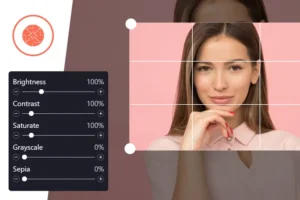 Mua ProVision Image Editor for WordPress / WooCommerce giá rẻ