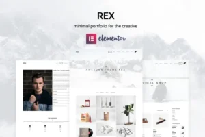 Mua Rex - Minimal WordPress Portfolio Theme giá rẻ