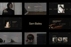 Mua Sam Bailey - Personal CV/Resume WordPress Theme giá rẻ