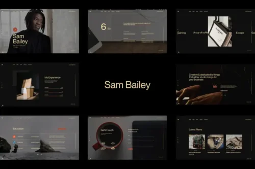 Mua Sam Bailey - Personal CV/Resume WordPress Theme giá rẻ