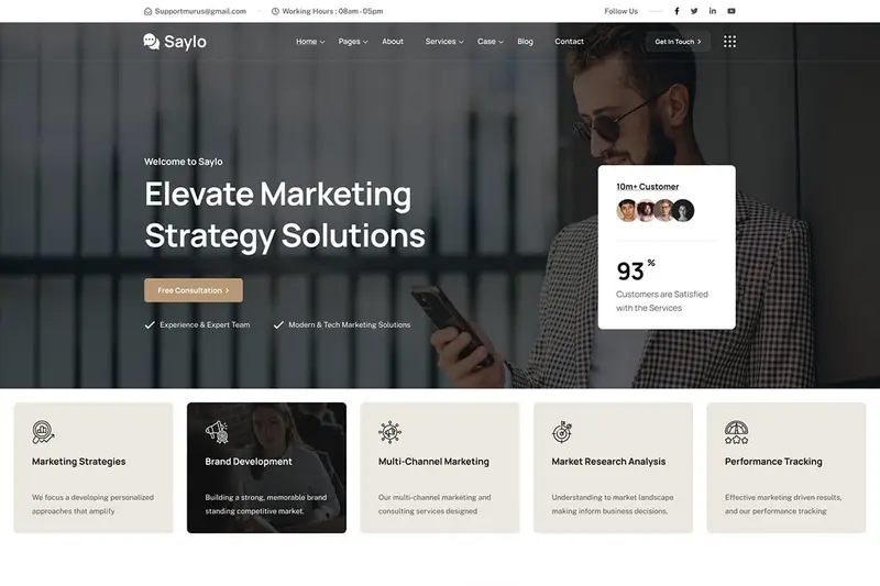 Mua Saylo - Finance & Consulting WordPress Theme giá rẻ