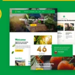 Seodo | Agriculture Farming Foundation WordPress T