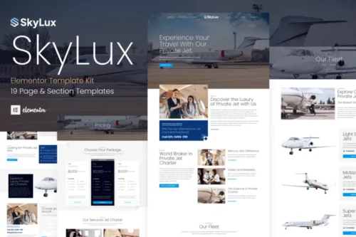Mua Skylux - Private Jet & Airplane Charter Company Elementor Template Kit giá rẻ