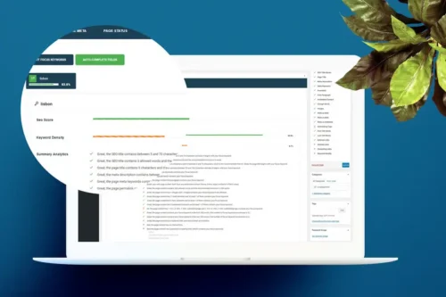 Mua smart SEO - Wordpress Plugin giá rẻ