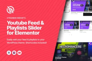 Mua Struninn - Youtube Feed and Playlists Slider giá rẻ
