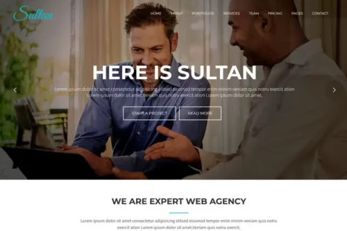 Mua Sultan - One Page Business WordPress Theme giá rẻ