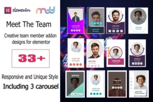 Mua team member addon for elementor giá rẻ