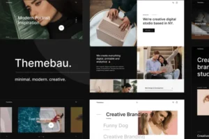 Mua Themebau – Minimal Portfolio & Agency WordPress Th giá rẻ