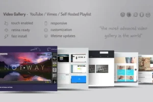 Mua Video Gallery Wordpress Plugin /w YouTube, Vimeo giá rẻ