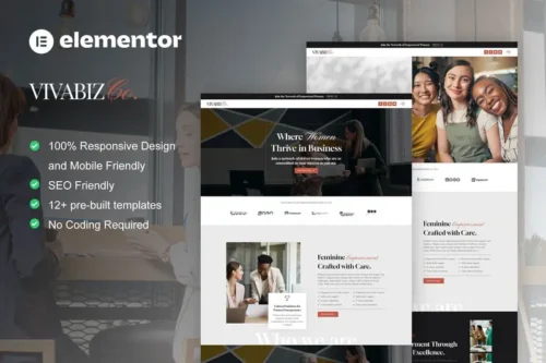 Mua Vivabiz - Feminine Business Coaching Elementor Template Kit giá rẻ