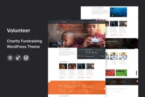 Mua Volunteer - Charity/Fundraising WordPress Theme giá rẻ