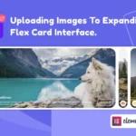 Wiloke Expanding Flex Cards Elementor Addon