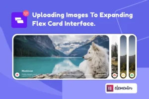Mua Wiloke Expanding Flex Cards Elementor Addon giá rẻ