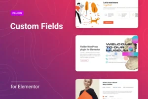 Mua WordPress Custom Fields for Elementor giá rẻ