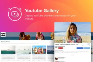 Mua WordPress YouTube Gallery Plugin giá rẻ