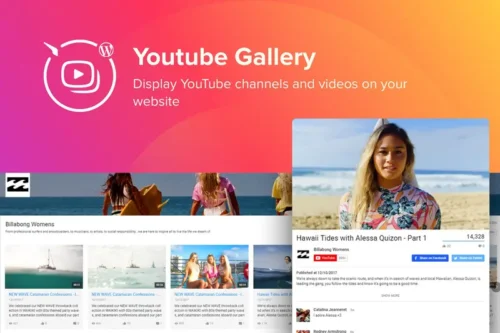 Mua WordPress YouTube Gallery Plugin giá rẻ