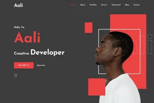 Mua Aali - Personal Portfolio Template giá rẻ