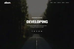 Mua Alison - Portfolio HTML Template giá rẻ