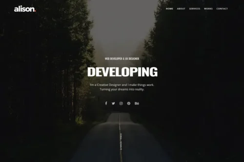 Mua Alison - Portfolio HTML Template giá rẻ