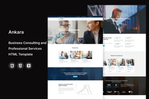 Mua Ankara -Consulting and Professional HTML Template giá rẻ