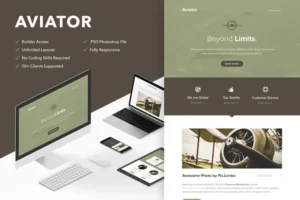 Mua Aviator - Responsive Email + Themebuilder Access giá rẻ