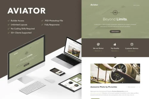 Mua Aviator - Responsive Email + Themebuilder Access giá rẻ