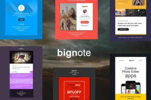 Mua Bignote - 24 Unique Responsive Email Notification giá rẻ