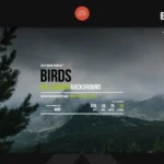 Birds – Responsive Coming Soon Page