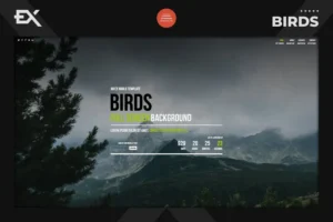 Mua Birds - Responsive Coming Soon Page giá rẻ