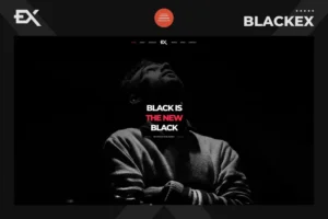 Mua Blackex - Photography Portfolio Template giá rẻ