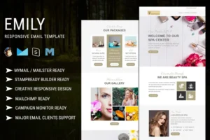 Mua Emily - Responsive Email Template giá rẻ